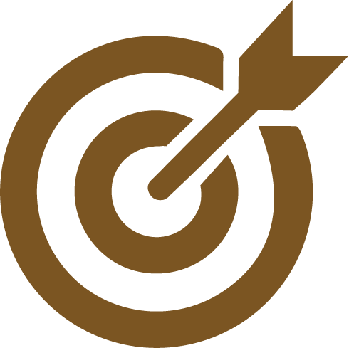 Vision icon